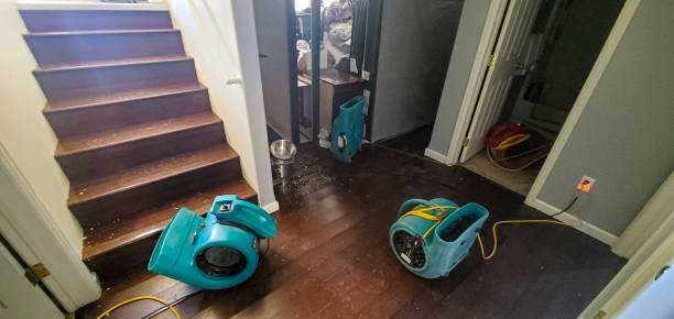 Best Flood damage cleanup  in South San Gabriel, CA