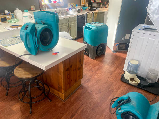 Best Local water damage restoration  in South San Gabriel, CA