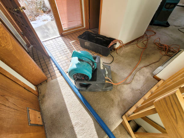 Best Ceiling water damage repair  in South San Gabriel, CA