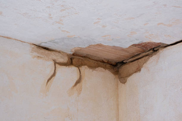 Best Local water damage restoration  in South San Gabriel, CA