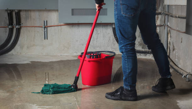 Best 24/7 water damage repair  in South San Gabriel, CA