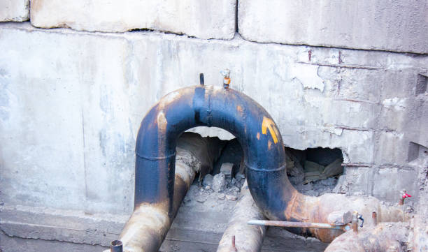 Best Mold removal after water damage  in South San Gabriel, CA
