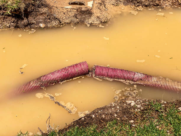 Best Water damage cleanup near me  in South San Gabriel, CA